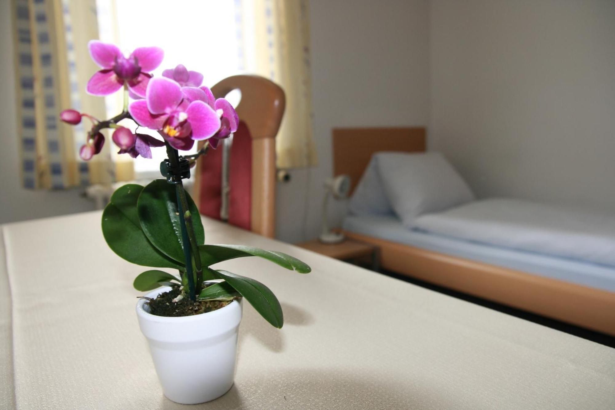 Hotel Glaernisch Hof Horgen Esterno foto