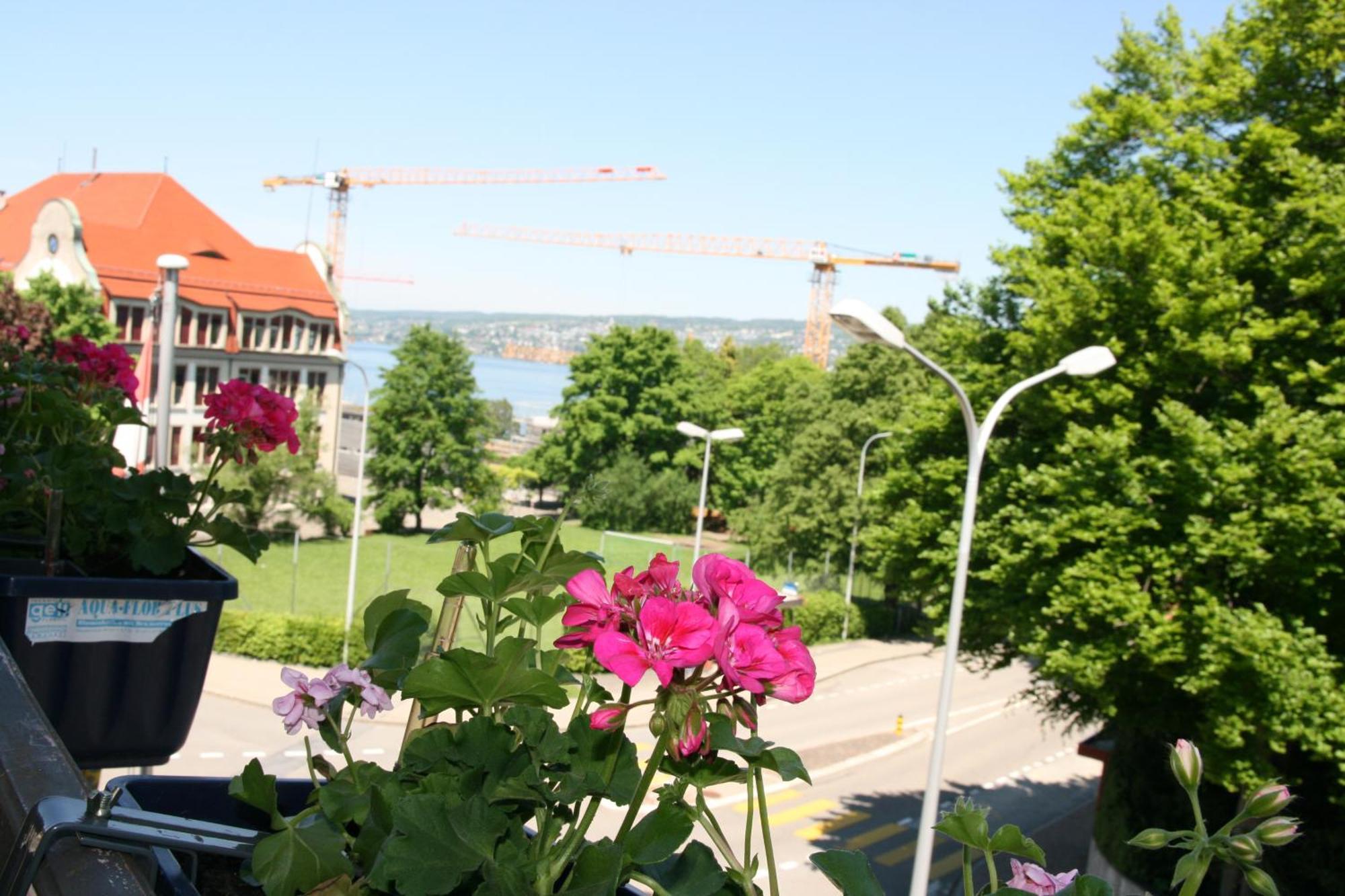 Hotel Glaernisch Hof Horgen Esterno foto